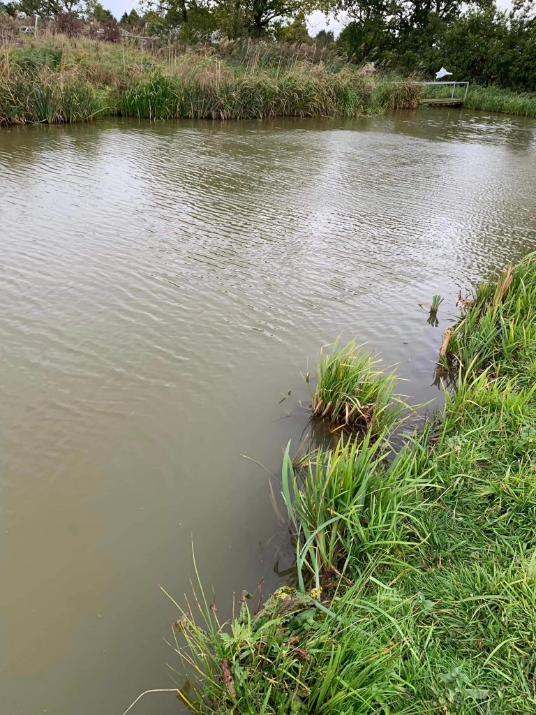 Cunneries Fishery