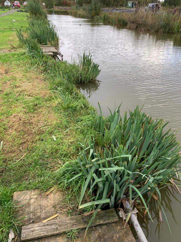 Cunneries Fishery