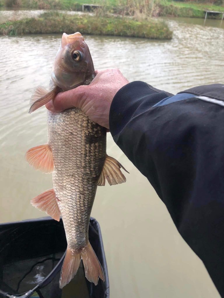 Cunneries Fishery