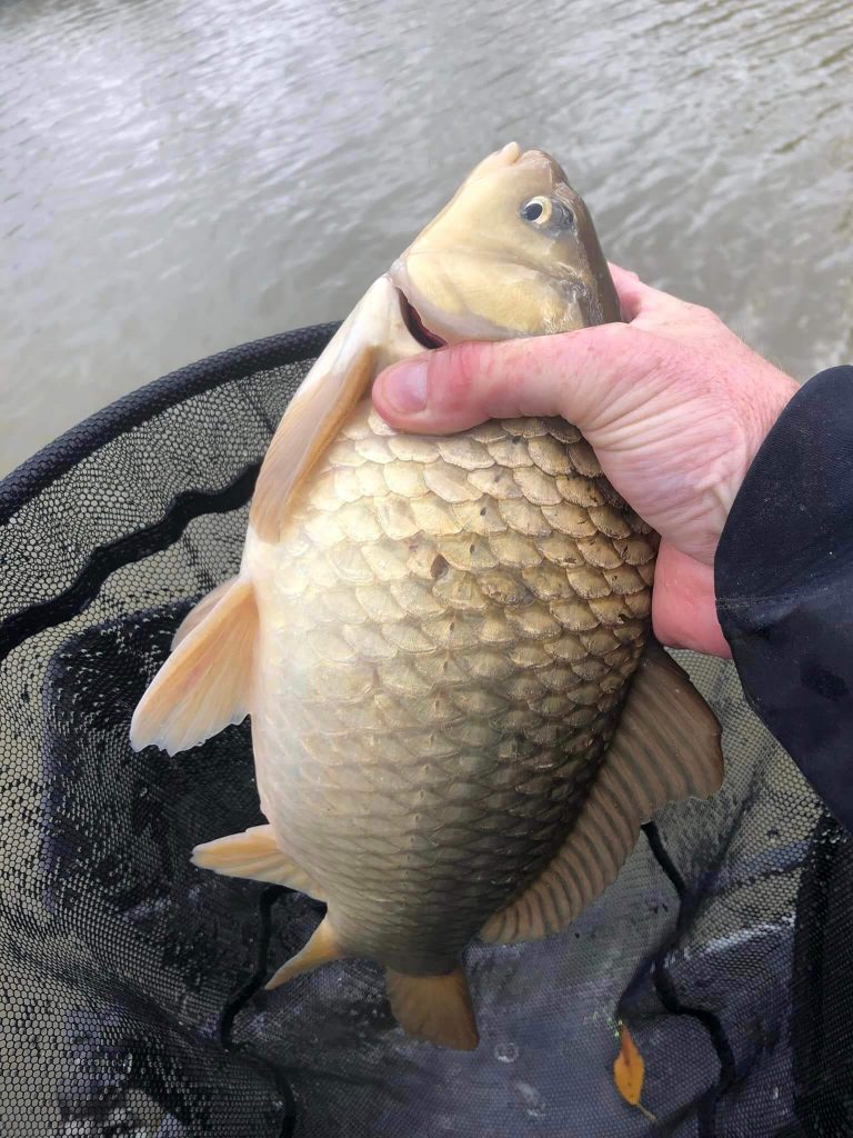 Cunneries Fishery