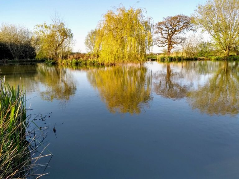 Cunneries Fishery