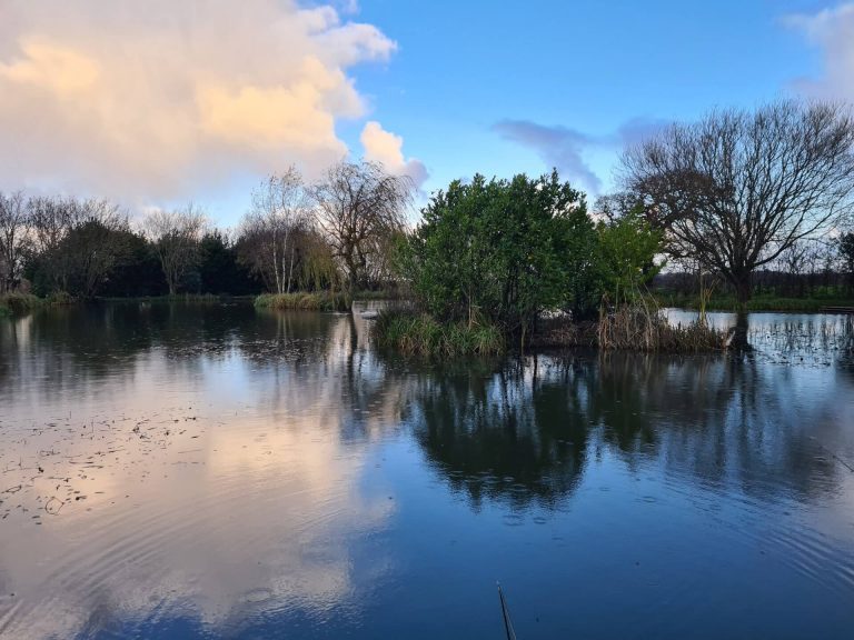 Cunneries Fishery